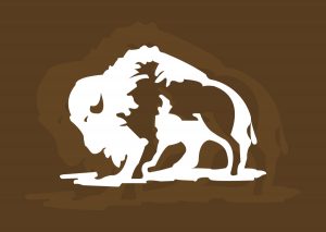 Buffalo Image for TaTonka Logo