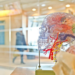 Medical Technology Photo For Clients Page